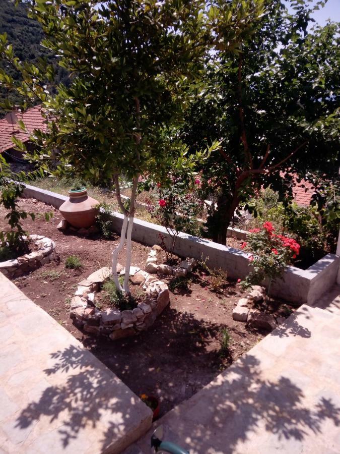 Dimitra'S Garden Villa Kallirakhi ภายนอก รูปภาพ