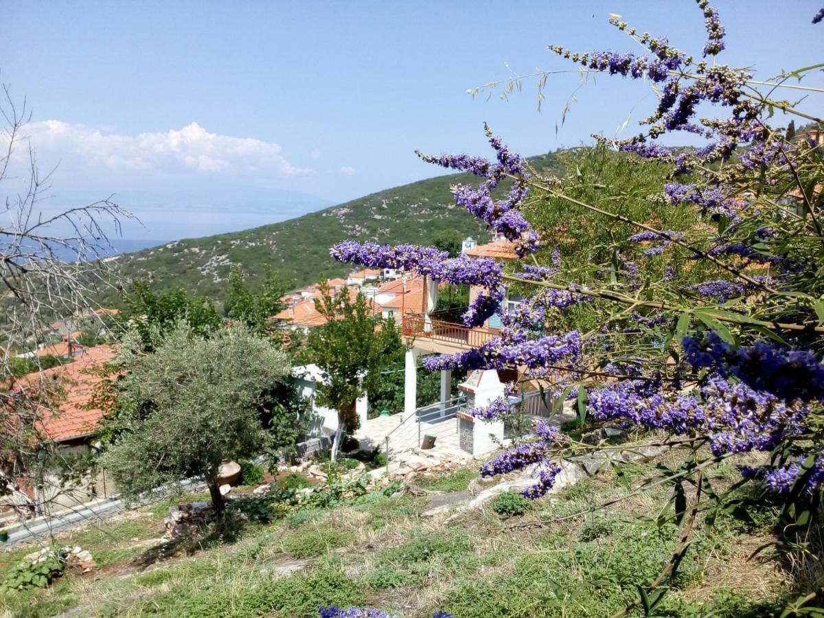 Dimitra'S Garden Villa Kallirakhi ภายนอก รูปภาพ